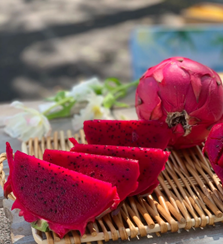 火龍果：熱帶紅寶石，抗氧化與腸道健康的天然能量果