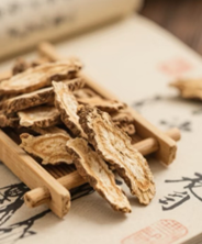 牛蒡：藏在根莖裡的營養寶庫，古今保健新趨勢解密