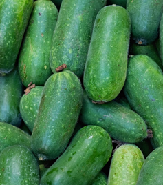 櫛瓜：夏日低卡蔬菜，健康與美味兼具的綠色食材