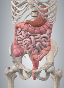腸病毒這樣吃，度過難熬期