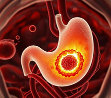 為什麼「七分飽」能延長壽命？