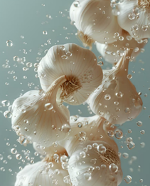 蒜：餐桌常客的天然保健力，從古至今的護身符