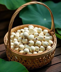 《蓮子：天然安神佳品，營養與保健的全方位食材》