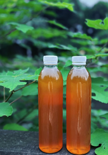 酵素如何吃？專業解析與正確食用方式