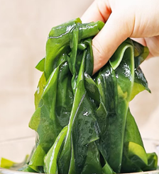 海帶：海洋綠色寶藏，礦物質與健康的天然來源