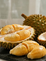 榴槤：水果之王，從熱帶珍寶到營養科研焦點