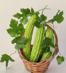 苦瓜胜肽能幫助糖尿病嗎？專家完整解析