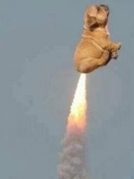 大吃大喝脹氣不舒服？三招排氣減輕負擔