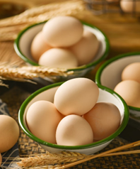雞蛋：小小蛋黃的營養密碼，從早餐桌到保健食品的科學價值