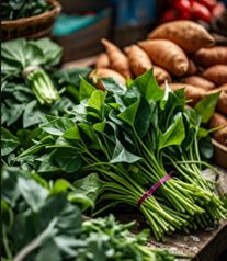 地瓜葉：從餐桌青菜到超級食材，營養價值讓人驚豔！