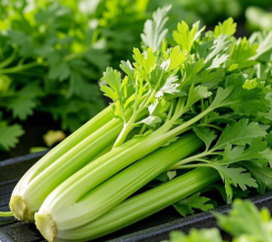 芹菜：餐桌常客竟是「天然降壓蔬菜」，營養價值超乎想像！