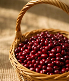 紅豆：小小顆粒的大健康，甜美之外的營養秘密