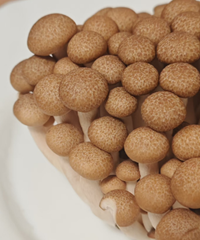 《鴻喜菇：小巧多功能，營養與保健兼具的菇類》