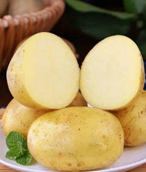 馬鈴薯：餐桌常客背後的營養價值與現代應用