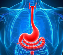 男性食道癌占比高達九成！六大習慣降低罹癌風險