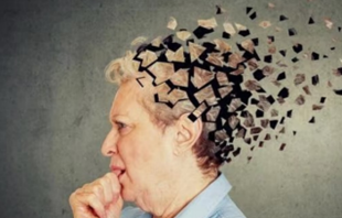 預防失智症的飲食，你該知道的關鍵