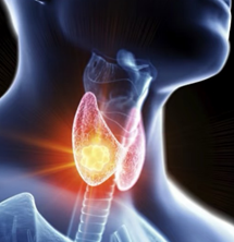 甲狀腺低下不只體重增加｜常見症狀還有這些