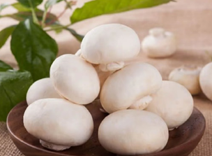 《洋菇：營養豐富的菌菇寶庫，健康與美味兼得》