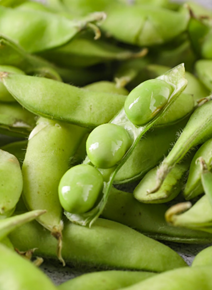 毛豆：小小綠豆莢的營養寶庫，健康與食品潮流兼具