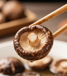 香菇：餐桌上的菇王，從古代養生到現代免疫研究的明星