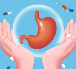 護胃四大迷思一次看，遠離胃部困擾