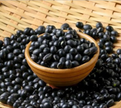 黑豆：從古代「腎之穀」到現代超級食物，養生與科研的雙重實力