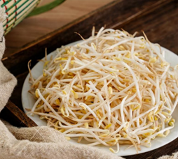 豆芽菜：平凡餐桌上的營養小尖兵，健康與現代應用全解析