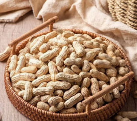 花生：小小果實的大大營養價值，健康與市場潛力並存