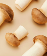 杏鮑菇：素食牛排的魅力，從料理到保健的全能新星