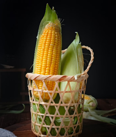 玉米：從田間到餐桌，黃金穀物的營養祕密與時代新價值