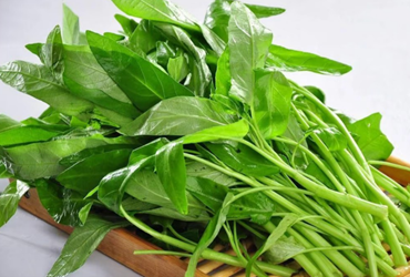 空心菜：從餐桌日常到營養新寵，低調綠葉背後的健康密碼