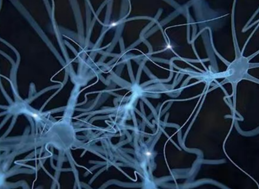 律神經失調靠飲食自救？穩定情緒可以這麼做