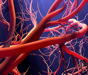 深層靜脈栓塞（DVT）的高風險族群你中了嗎？