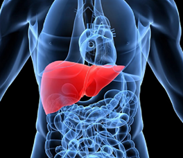 猛爆性肝炎為什麼這麼危險？專家解析肝臟求救訊號