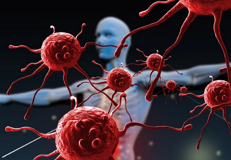 提升免疫力，安心與病毒共存的必備策略！