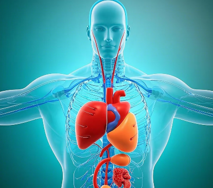 遠離癌症威脅！五臟排毒全攻略