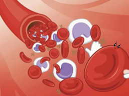 想補鐵？這些食物最有效！營養師推薦「補鐵黃金清單」💪✨