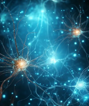 自律神經失調？四多吃、四少碰，調整生活讓神經回穩