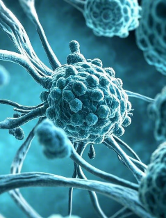 人人都有癌細胞！少吃「罹癌食物」就是在自救