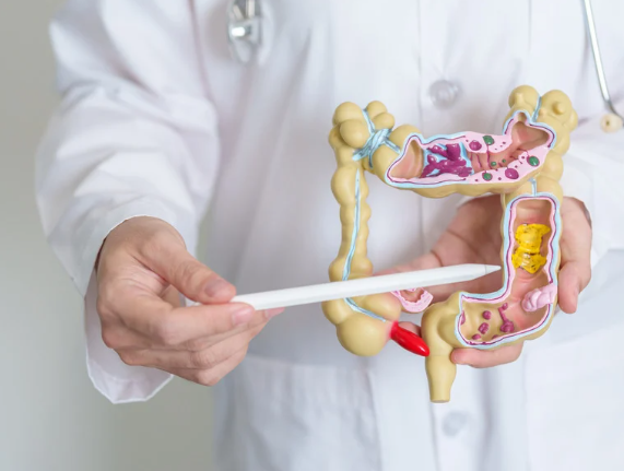 腸胃炎怎麼吃？醫師推「7日清單」：快速修復腸道！